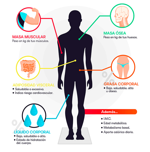 Análisis corporal- Bioimpedancia
